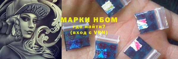 ГАЛЛЮЦИНОГЕННЫЕ ГРИБЫ Горняк