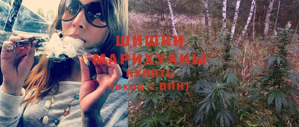 ГАЛЛЮЦИНОГЕННЫЕ ГРИБЫ Горняк