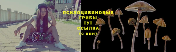 mdma Горнозаводск
