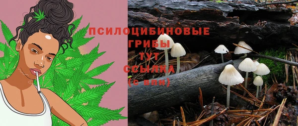 ГАЛЛЮЦИНОГЕННЫЕ ГРИБЫ Горняк