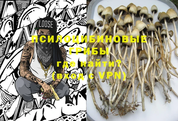 mdma Горнозаводск