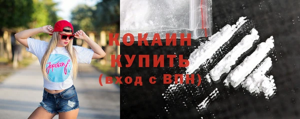 ГАЛЛЮЦИНОГЕННЫЕ ГРИБЫ Горняк