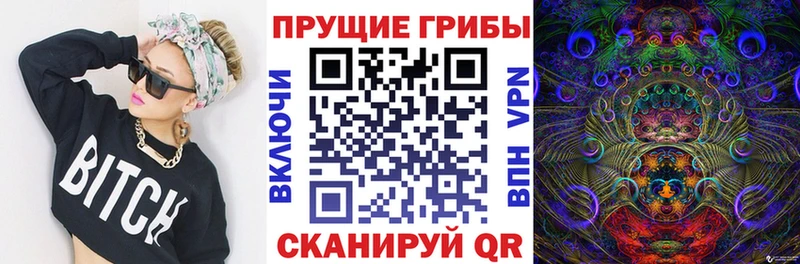 ссылка на мегу вход  Карабулак  Псилоцибиновые грибы MAGIC MUSHROOMS 