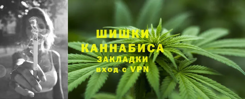 Бошки Шишки SATIVA & INDICA  продажа наркотиков  Карабулак 